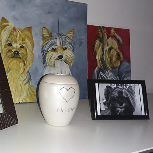 urne pour chien avec photo et nom swarovski pas cher luxus