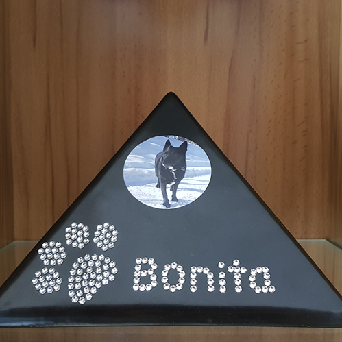 urne pour chien avec photo et nom swarovski pas cher luxus