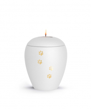 Animal Urn Edition Verona in different colours with golden paw