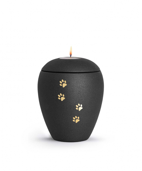 Animal Urn Edition Verona in different colours with golden paw