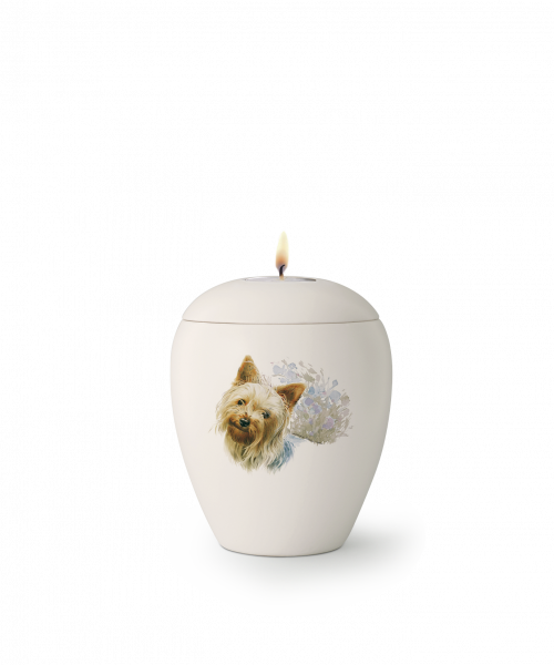 Urne animaux de Race 0,5 ltr.     Race: Yorkshire Terrier